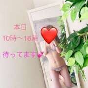 ヒメ日記 2026/04/25 10:06 投稿 サチ 煌-kirameki-