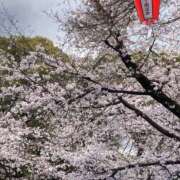 ヒメ日記 2026/03/30 17:29 投稿 はるな NEO不夜城