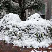 ヒメ日記 2026/02/08 15:35 投稿 いよ ぷるるんギャング