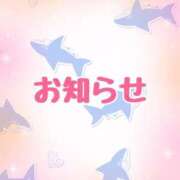 ヒメ日記 2025/10/20 14:56 投稿 はな ダイスキ