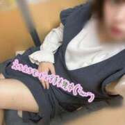 ヒメ日記 2025/10/28 14:09 投稿 はな ダイスキ