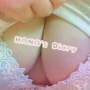 ヒメ日記 2025/10/29 12:45 投稿 はな ダイスキ