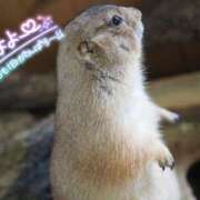 はな 春眠暁を覚えず😴 ダイスキ