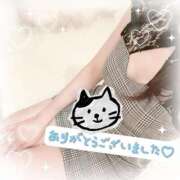 ヒメ日記 2025/10/13 01:46 投稿 如月ゆい ミセスレディ