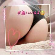 ヒメ日記 2025/11/12 15:46 投稿 如月ゆい ミセスレディ