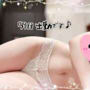 ヒメ日記 2025/11/23 15:16 投稿 如月ゆい ミセスレディ