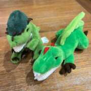 ヒメ日記 2025/11/19 15:40 投稿 山内 みゆう SUMIRE