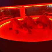 山内 みゆう おはようございます😊 SUMIRE