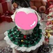 ヒメ日記 2025/12/23 15:37 投稿 山内 みゆう SUMIRE