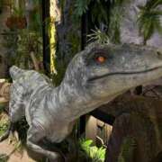 ヒメ日記 2026/02/16 09:54 投稿 山内 みゆう SUMIRE