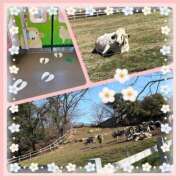 ヒメ日記 2026/03/05 17:54 投稿 山内 みゆう SUMIRE