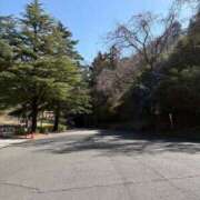 ヒメ日記 2026/03/08 23:21 投稿 山内 みゆう SUMIRE