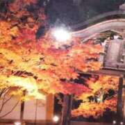 ヒメ日記 2025/10/25 16:25 投稿 きょうこ 熟女家 ミナミエリア店