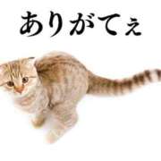 ヒメ日記 2025/11/22 14:11 投稿 きょうこ 熟女家 ミナミエリア店