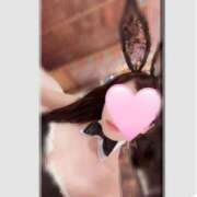 ヒメ日記 2025/12/15 01:43 投稿 伊藤 すみれ こあくまな熟女たち 京都店(KOAKUMAグループ)