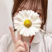 ヒメ日記 2025/12/13 15:29 投稿 やよい 札幌しこたまクリニック