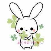 ヒメ日記 2025/10/15 11:55 投稿 うさぎ Wonder7 (ワンダー7)