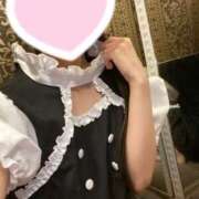 ヒメ日記 2025/12/31 16:01 投稿 うさぎ Wonder7 (ワンダー7)