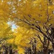 ヒメ日記 2025/11/04 21:54 投稿 みおん 仙南 愛ランド（白石、柴田、岩沼、名取）