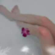 ヒメ日記 2026/04/14 13:04 投稿 みおん 仙南 愛ランド（白石、柴田、岩沼、名取）