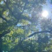 ヒメ日記 2026/06/17 21:48 投稿 みおん 仙南 愛ランド（白石、柴田、岩沼、名取）