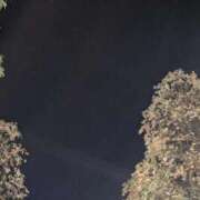 ヒメ日記 2025/11/25 23:32 投稿 まり 熟女の風俗最終章 池袋店