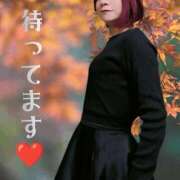 ヒメ日記 2025/11/27 15:22 投稿 まり 熟女の風俗最終章 池袋店