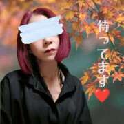 ヒメ日記 2025/12/01 17:22 投稿 まり 熟女の風俗最終章 池袋店