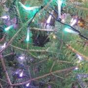 ありさ クリスマス 出会い系人妻ネットワーク錦糸町～小岩編