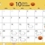 ヒメ日記 2025/10/16 19:30 投稿 まや 恋するバニー