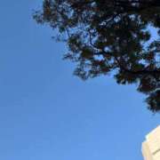 ヒメ日記 2025/10/17 15:10 投稿 てぃな シークレットタッチ