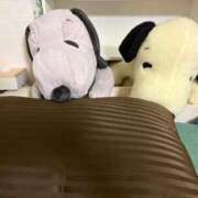 ヒメ日記 2025/11/09 00:17 投稿 てぃな シークレットタッチ