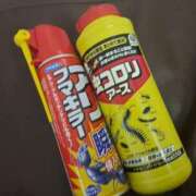 ヒメ日記 2026/02/04 16:39 投稿 ひかる【恋したくなる茶髪美人】 LIPS(リップス)