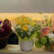 ヒメ日記 2025/12/01 10:35 投稿 ちえ 完熟ばなな新宿