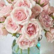 ヒメ日記 2025/12/30 00:15 投稿 ちえ 完熟ばなな新宿