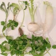 ヒメ日記 2026/01/07 08:35 投稿 ちえ 完熟ばなな新宿