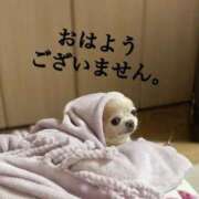 ヒメ日記 2025/10/10 11:54 投稿 和香夏（わかな） PLUS難波店