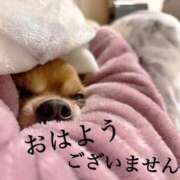 ヒメ日記 2025/10/28 10:12 投稿 和香夏（わかな） PLUS難波店