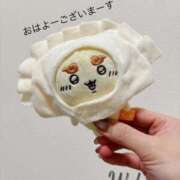 ヒメ日記 2025/11/05 11:24 投稿 和香夏（わかな） PLUS難波店