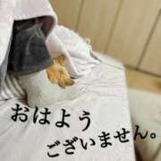 ヒメ日記 2025/11/13 12:54 投稿 和香夏（わかな） PLUS難波店