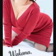 ヒメ日記 2025/11/18 22:14 投稿 和香夏（わかな） PLUS難波店