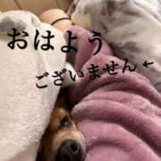 ヒメ日記 2025/11/19 12:55 投稿 和香夏（わかな） PLUS難波店