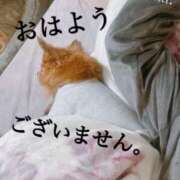 ヒメ日記 2025/11/20 12:04 投稿 和香夏（わかな） PLUS難波店