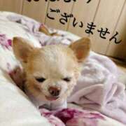 ヒメ日記 2025/11/21 13:14 投稿 和香夏（わかな） PLUS難波店