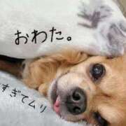 ヒメ日記 2025/11/28 12:16 投稿 和香夏（わかな） PLUS難波店