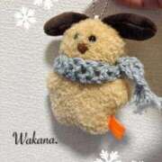 ヒメ日記 2025/12/02 01:04 投稿 和香夏（わかな） PLUS難波店