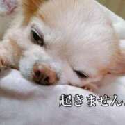 ヒメ日記 2025/12/05 13:04 投稿 和香夏（わかな） PLUS難波店