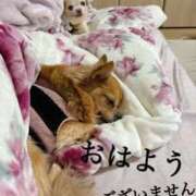 ヒメ日記 2025/12/11 12:52 投稿 和香夏（わかな） PLUS難波店