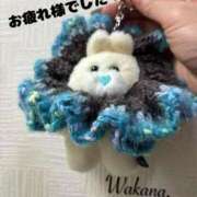 ヒメ日記 2025/12/12 00:34 投稿 和香夏（わかな） PLUS難波店