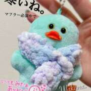 ヒメ日記 2025/12/12 23:24 投稿 和香夏（わかな） PLUS難波店